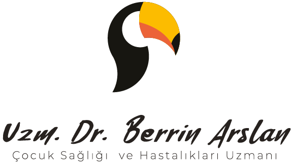 berrin-arslan